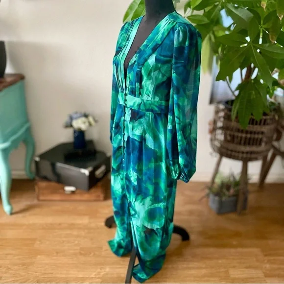 NWT Runaway The Label Calista Deep-V Button Front Long Sleeve Sheer Midi Dress - Picture 12 of 16